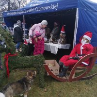 Zobacz w powiększeniu: Jarmark Bożonarodzeniowy 2021 (1)